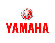 We carry yamaha